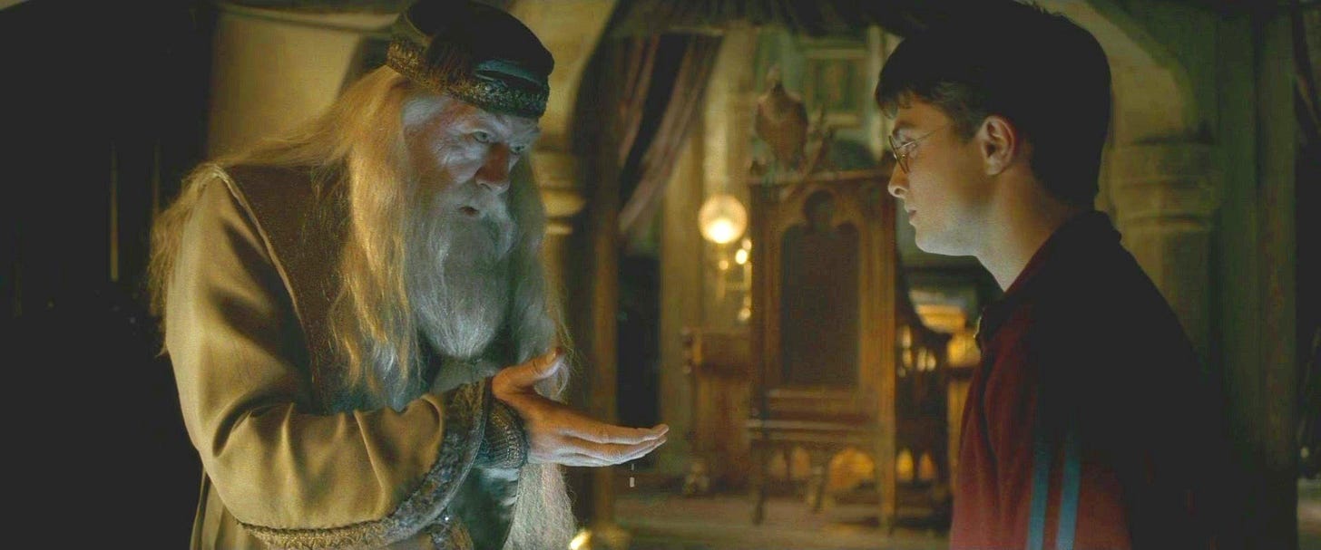 Harry Potter and Albus Dumbledore's private lessons | Harry Potter Wiki |  Fandom