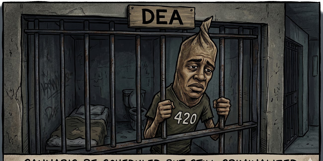 Iran, vaccines, Cuba, now cannabis - what’s the plan, Mr. President?