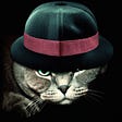 Cat Hat Ethical's avatar