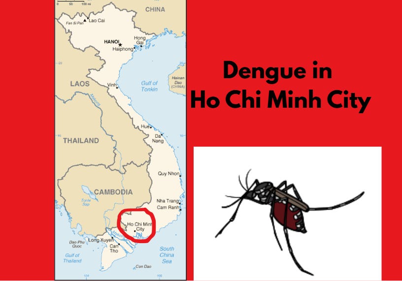 Ho Chi Minh City Dengue Cases Pass 42,500 as Weekly Infections Climb