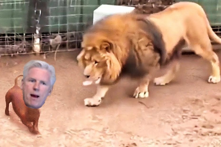 Unhinged Ambrose Floods Court with baseless lawsuits against critics. Will CT Judge Nagala finally stop suspended lawyer's courtroom circus? Unhinged Ambrose Floods Court with baseless lawsuits against critics. Will CT Judge Nagala finally stop suspended lawyer's courtroom circus?