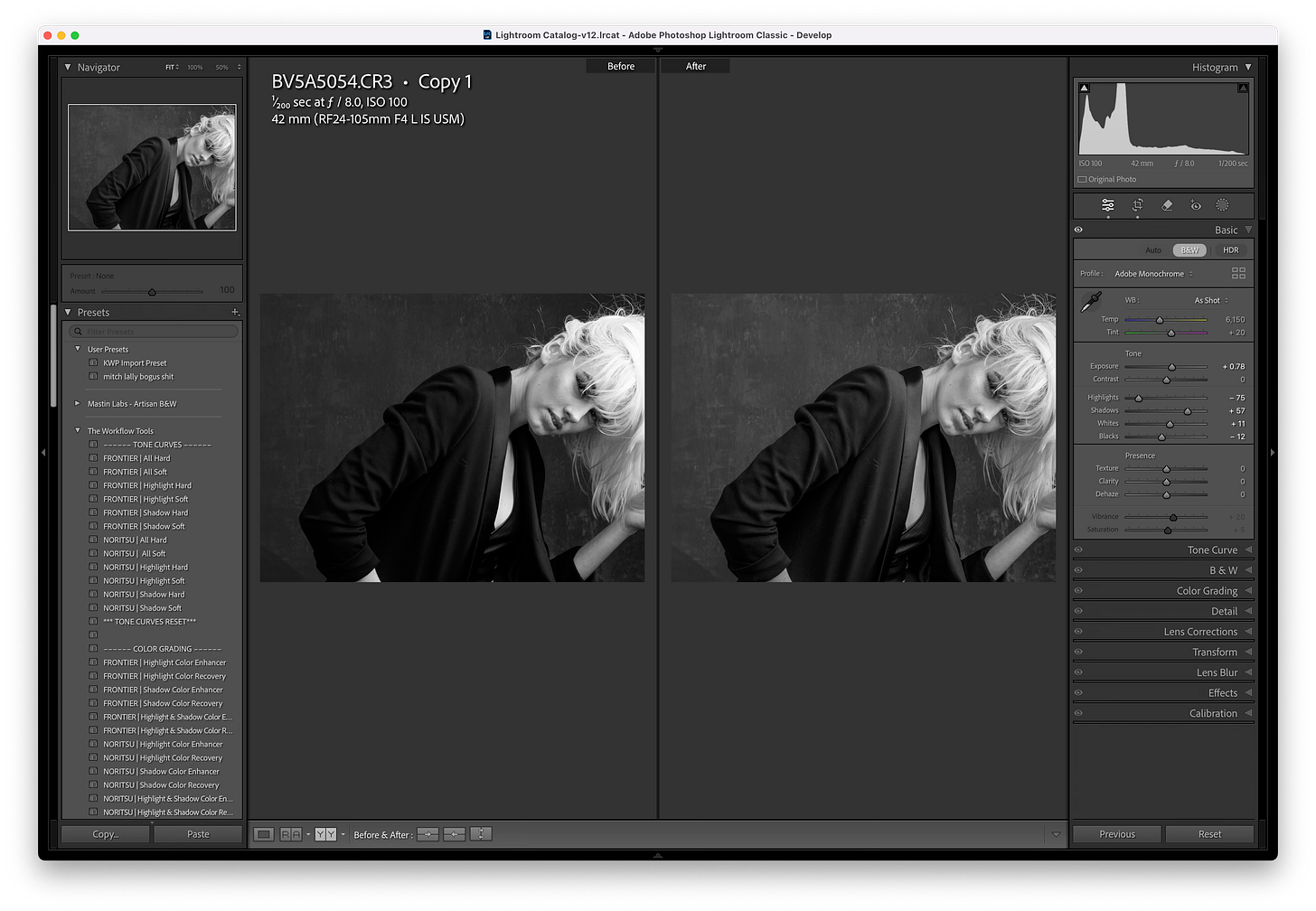 adobe "auto" adobe "auto"