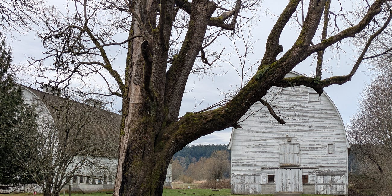 Discover the Joy of Slow Living