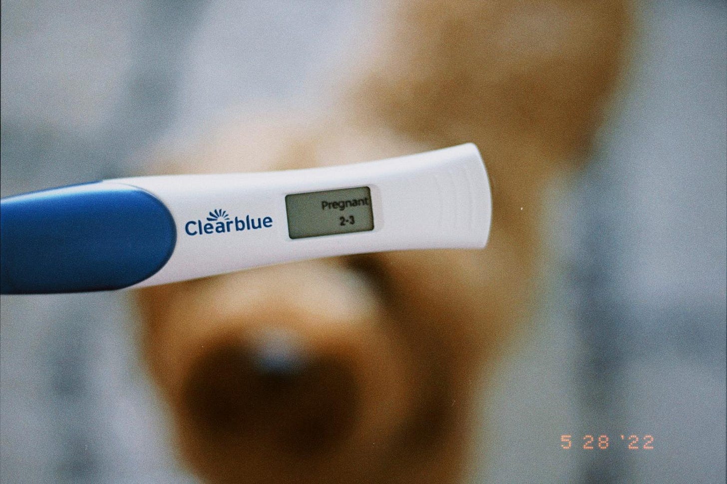 A photo of a clear blue digital pregnancy test with a dog in the background