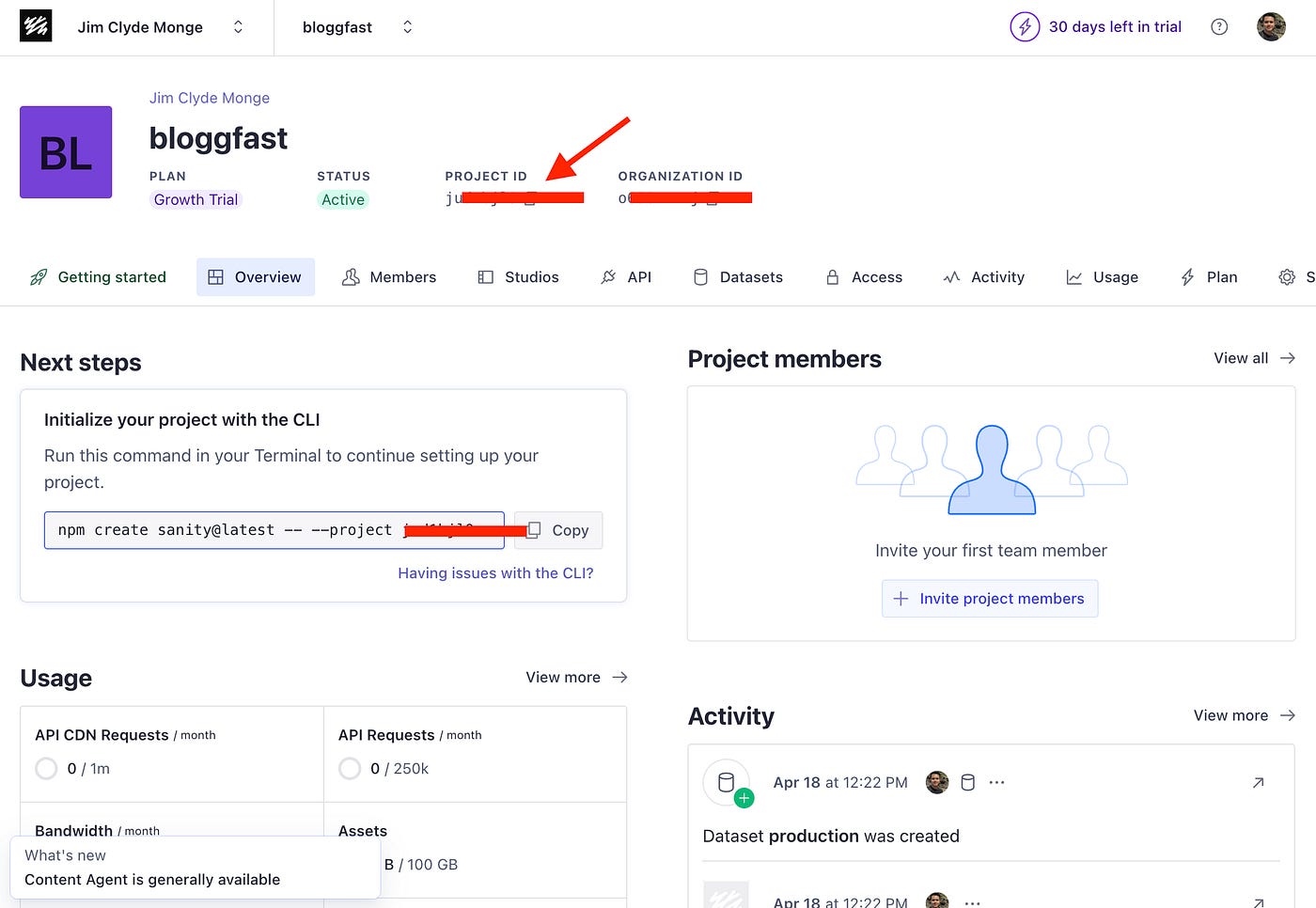 Setting up Sanity for BloggFast. Image by Jim Clyde Monge
