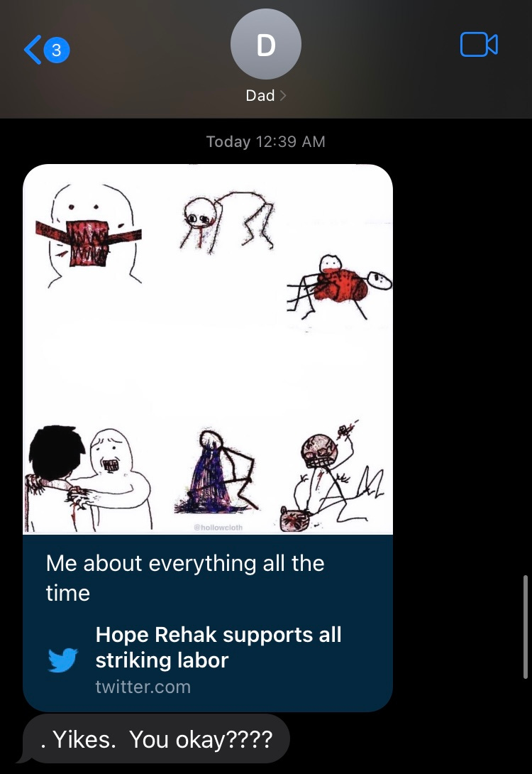 a screencapture of my father asking me if I am okay