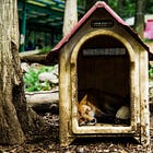 Hey! How About We Fix All Of The Public Housing So People Can Live There Without Getting Sick?