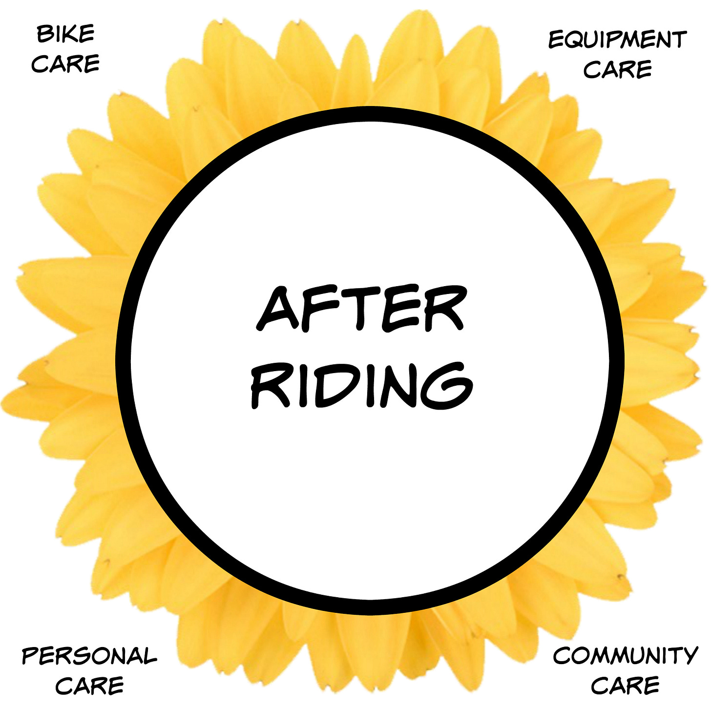 After Riding considerations