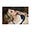 Mona_Capone's avatar