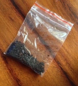 Musk grains Musk grains