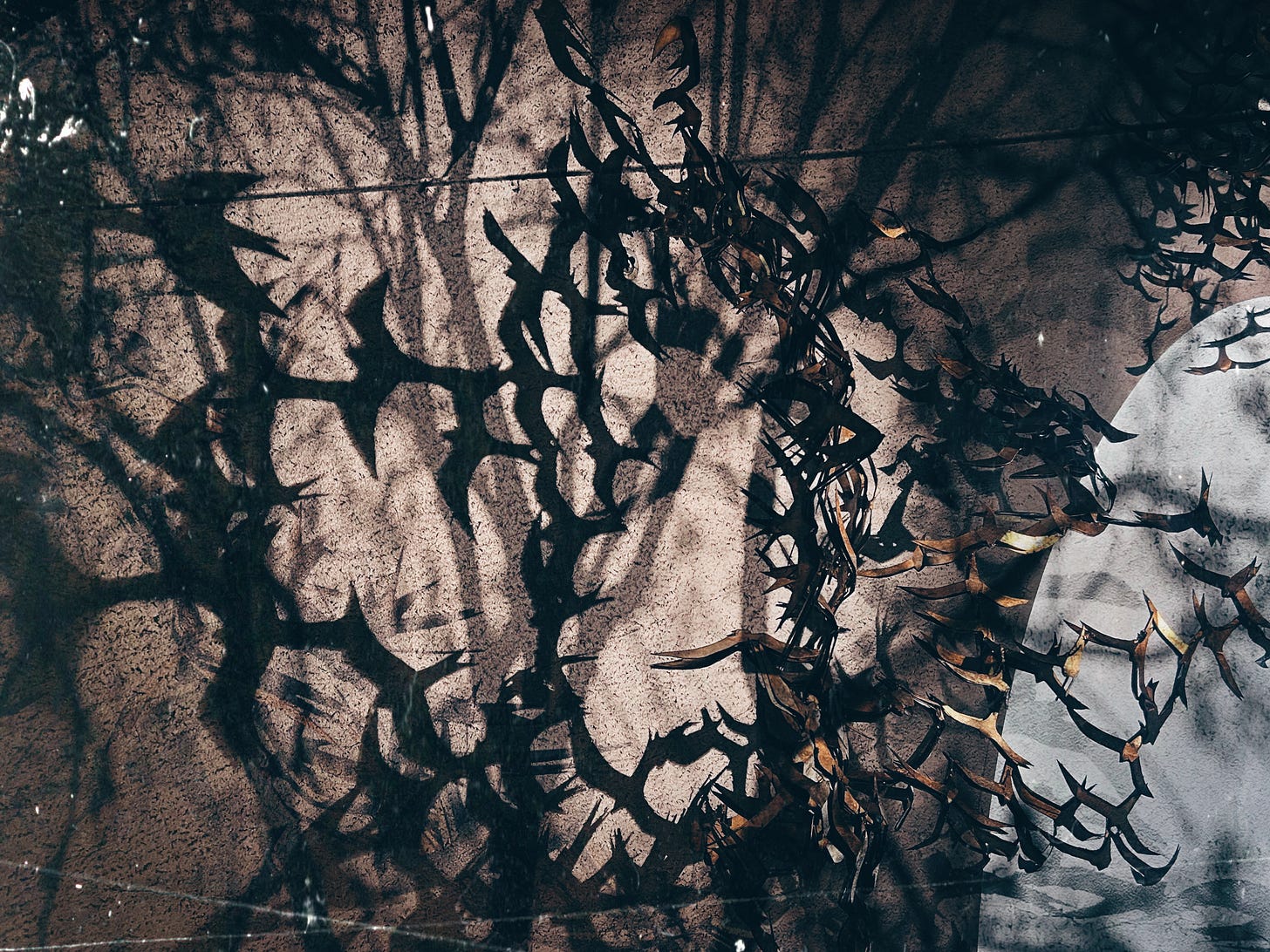 A collage of shadows