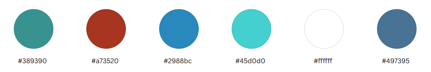 Colors are shown with the following numbers below: #389390   #a73520    #2988bc   #45d0d0    #ffffff   #497395 