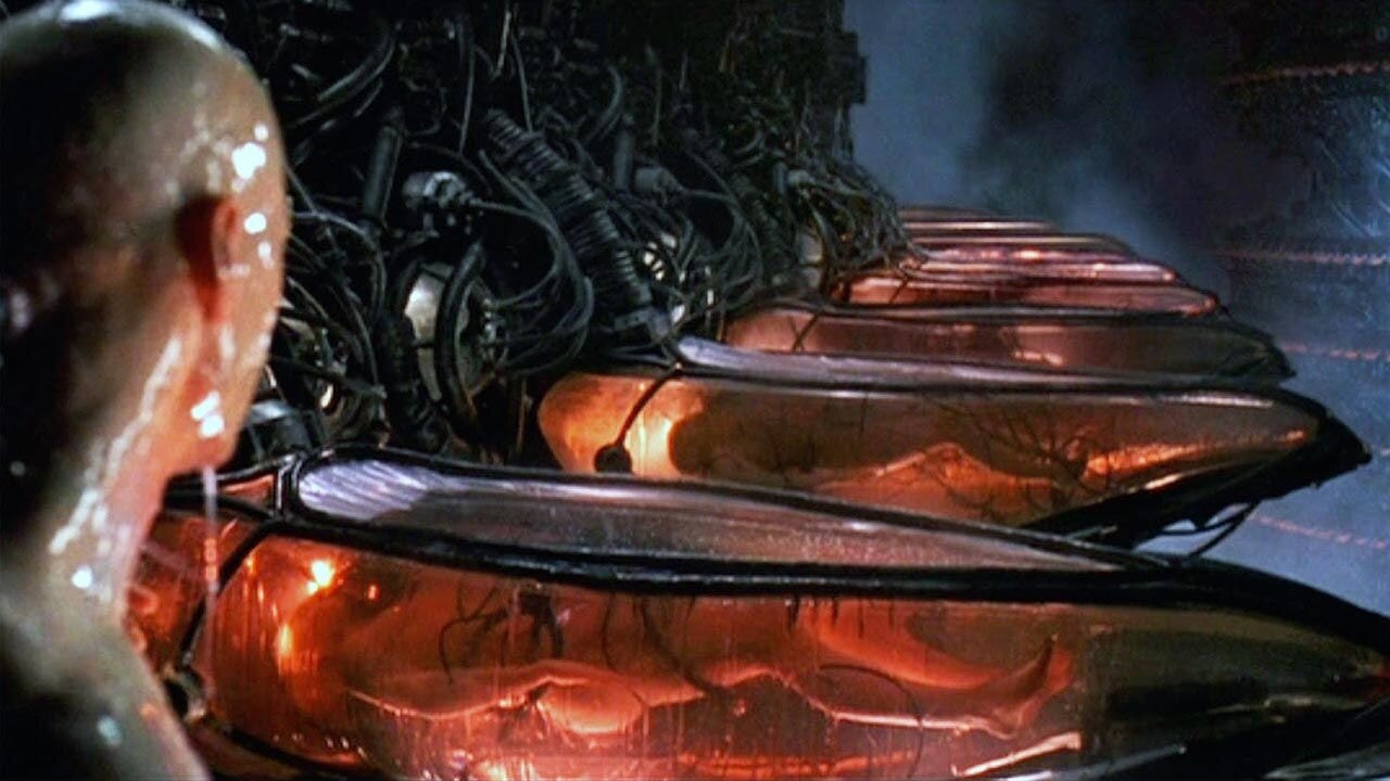 A scene from The Matrix.