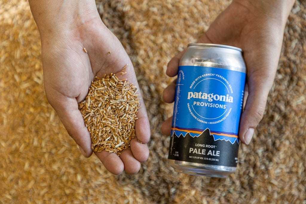 Outdoor Clothing Giant Patagonia Is Brewing Regenerative Beer That Helps  Sequester Carbon