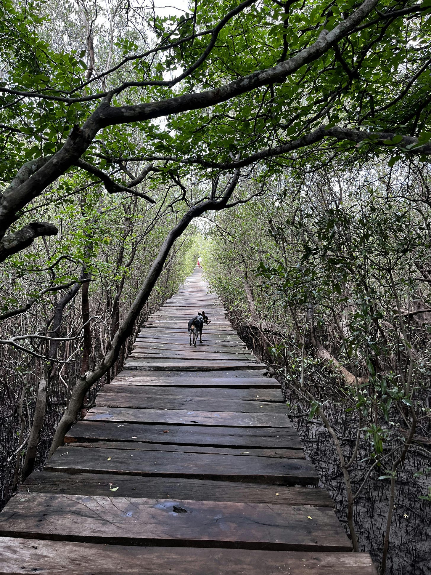 037: Loving What You Have, Having What You Love! 037: Loving What You Have, Having What You Love!