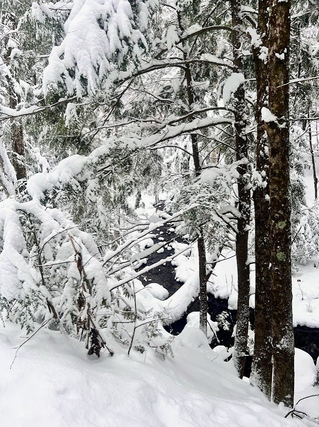 A creek running through a winter forest with snow. A metal chair in a garden covered in snow.