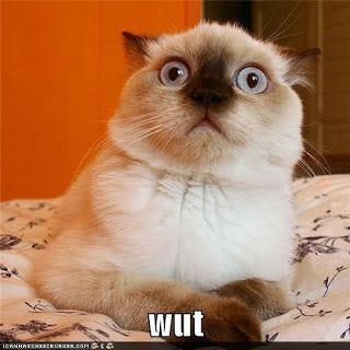 Things that make ya go, "Huh?!?!"