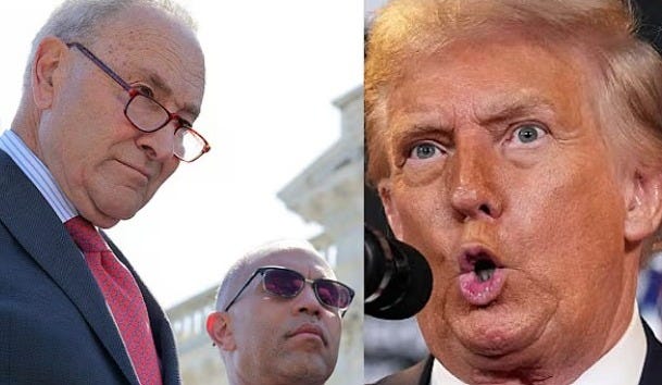 TRUMP'S ICE PLAN OBLITERATED: Democrats FIGHT BACK!