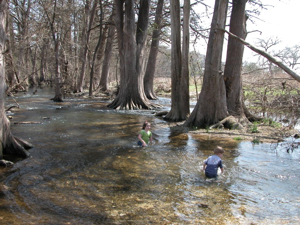 A couple of kids playing in a river

AI-generated content may be incorrect.