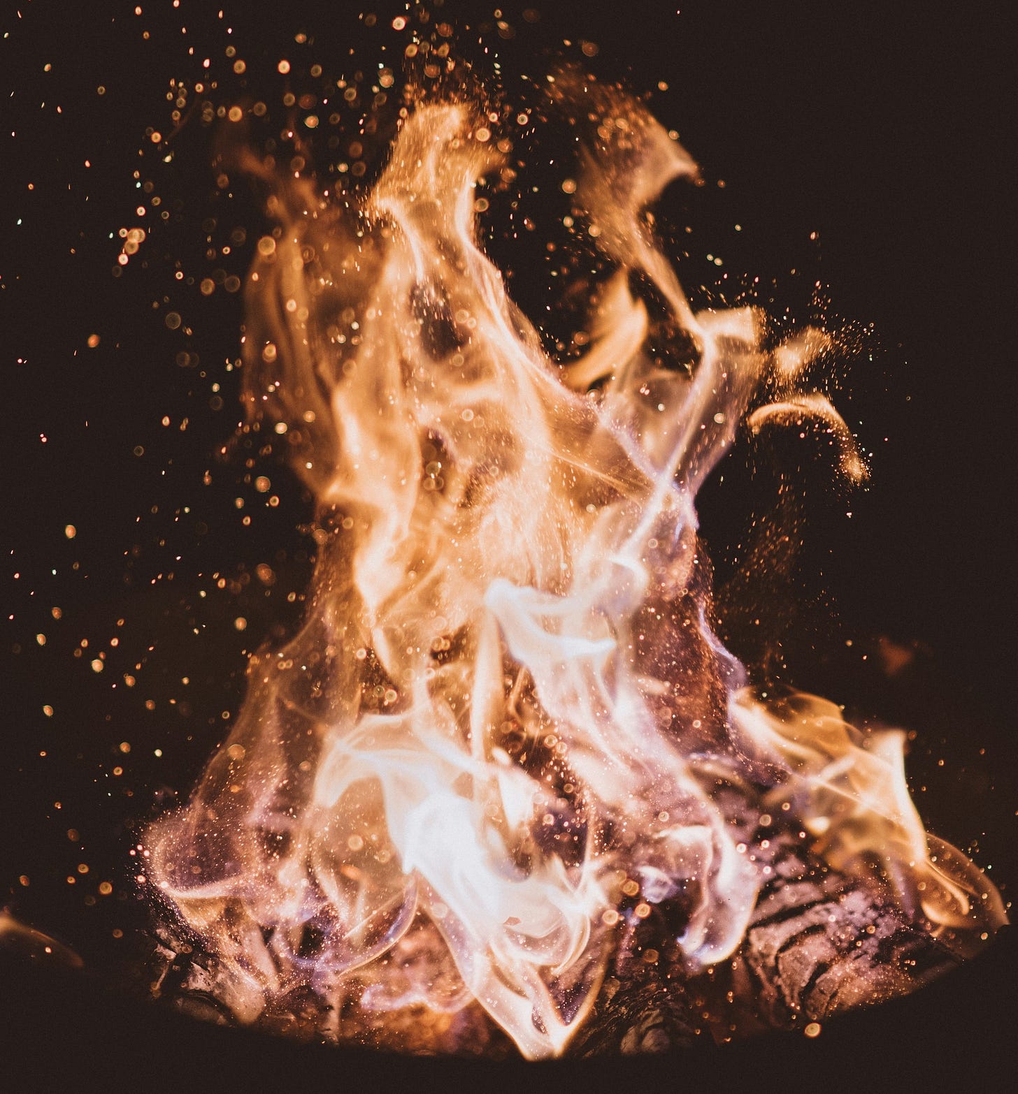 Bowl of Flames - Photo by Joshua Newton on Unsplash