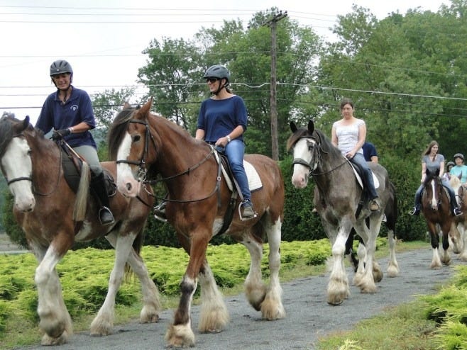 trail riding trail riding