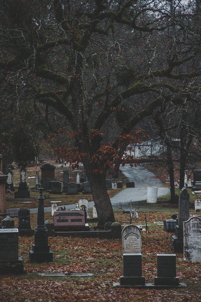 A gnarled old tree standing sentinel over an old graveyard. A gnarled old tree standing sentinel over an old graveyard.