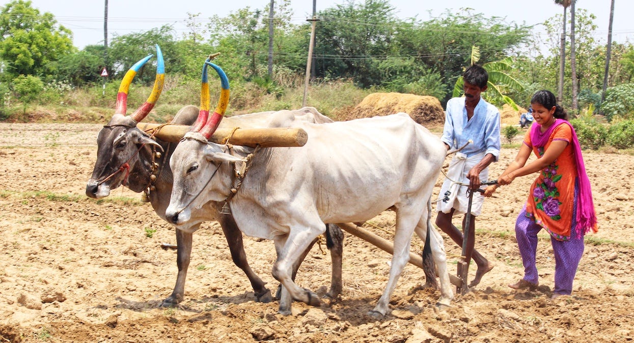 India Ag 2021 Header Image
