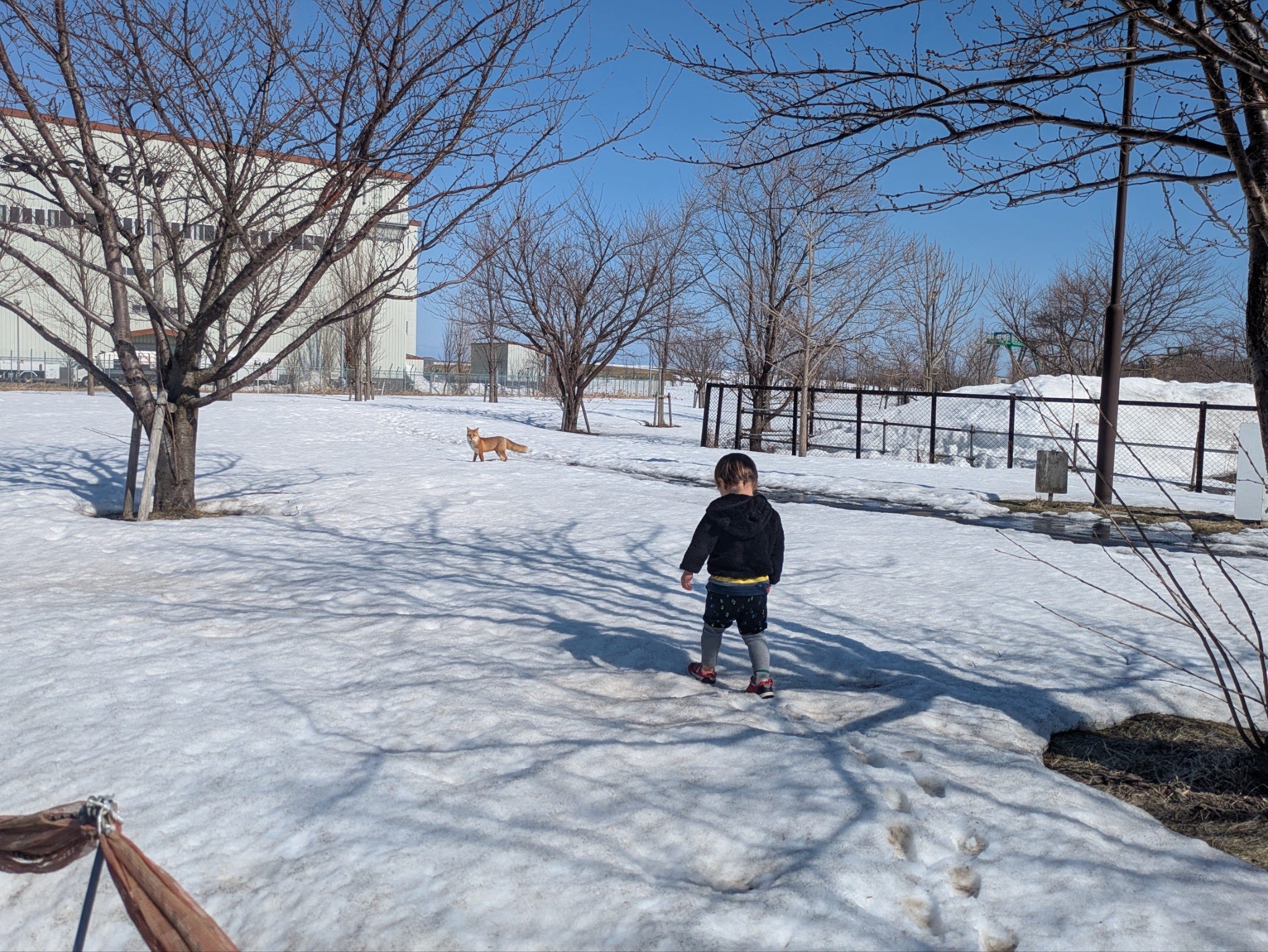 It was going so well. Then Javier smiled.