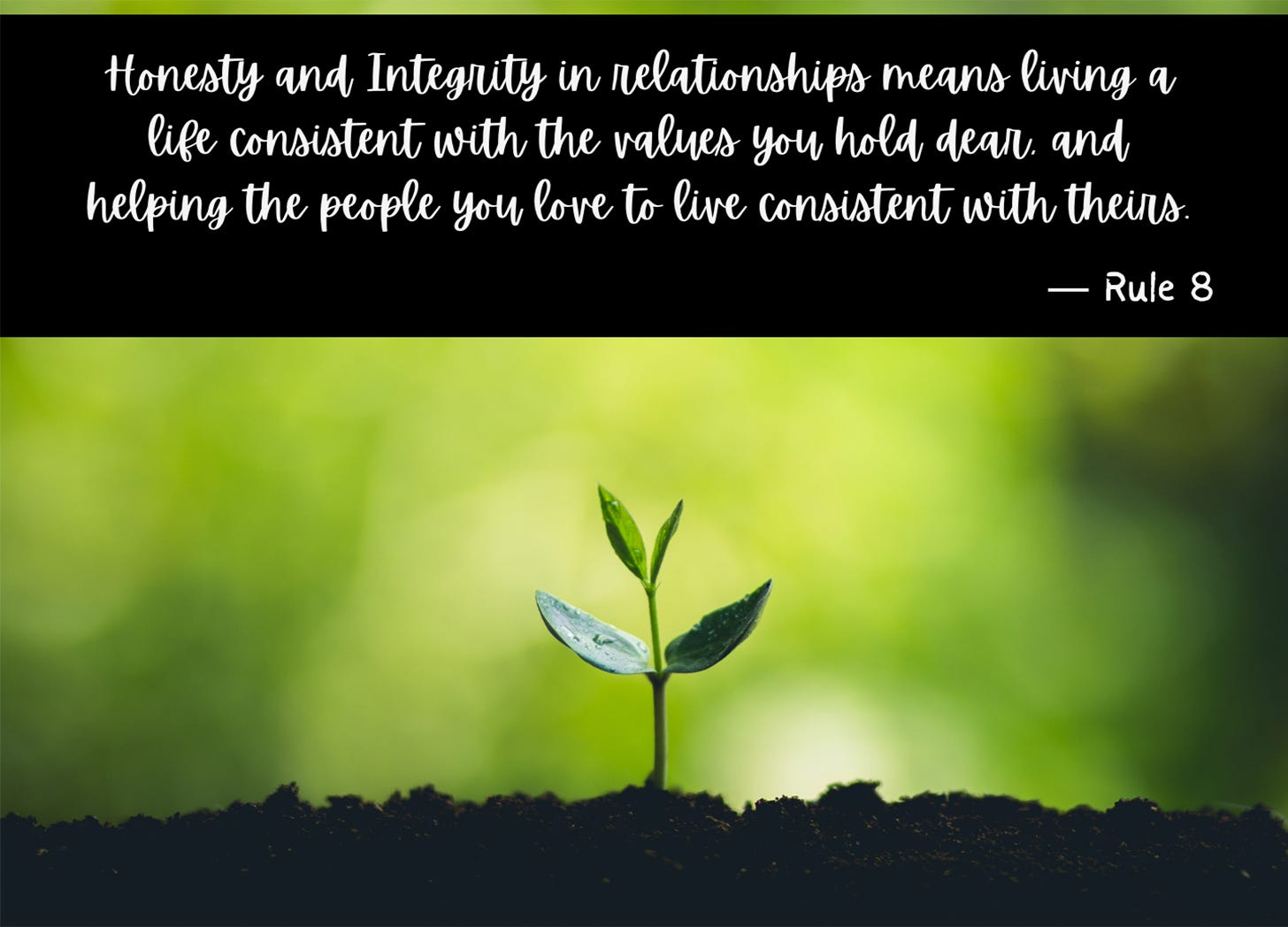 Inspirational meme of a sprouting seedling, with text from Rule 8 about honesty and integrity