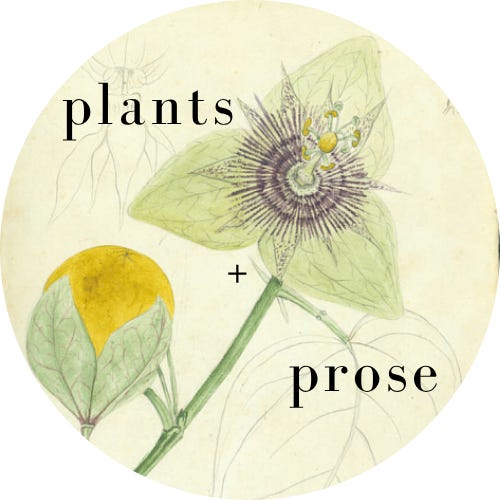 plants + prose logo