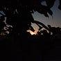 Daylight's avatar