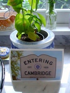 entering cambridge kitchen entering cambridge kitchen