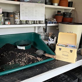 Marks. Get set… Sow!