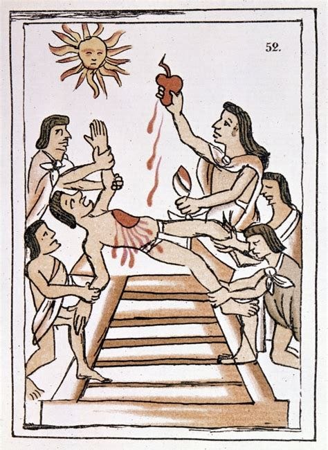 The Sacrifice of the Human Animal