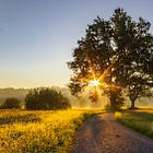 Alignement personnel : la clé d'une autorité managériale durable et respectée