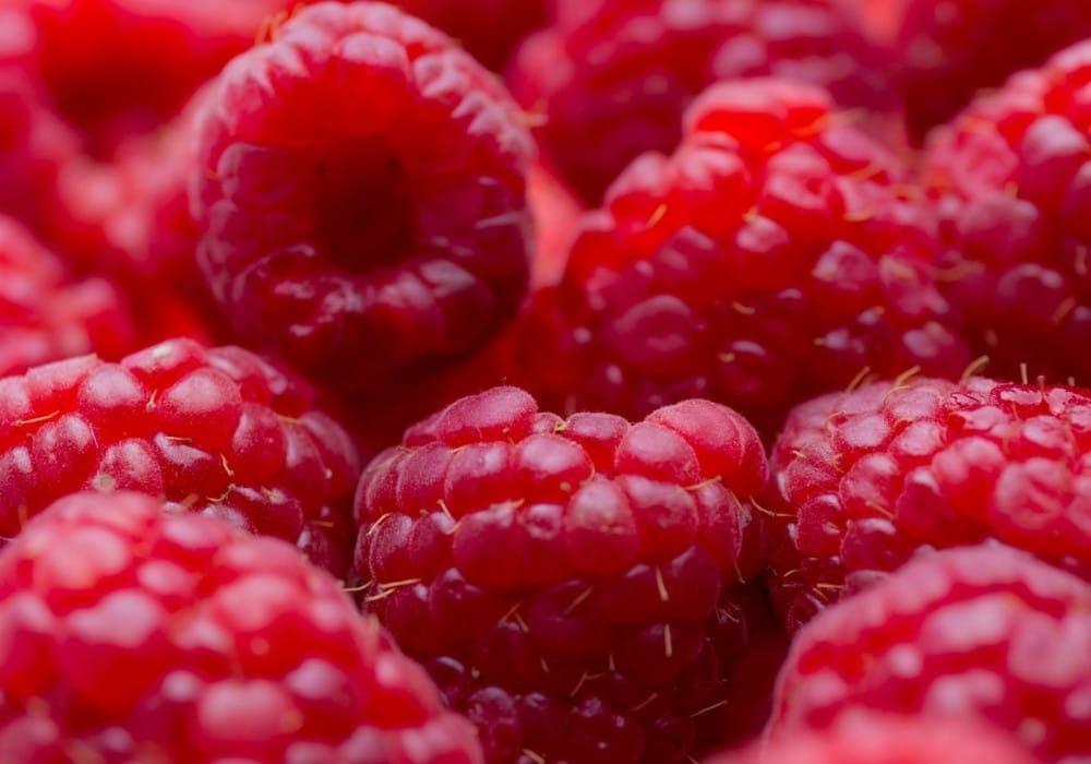 Close up of lush raspberries illustrating high vibration food Close up of lush raspberries illustrating high vibration food