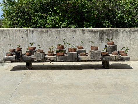 A gallery of images showing art by Bosco Sodi, mostly a collection of concrete and bricks.