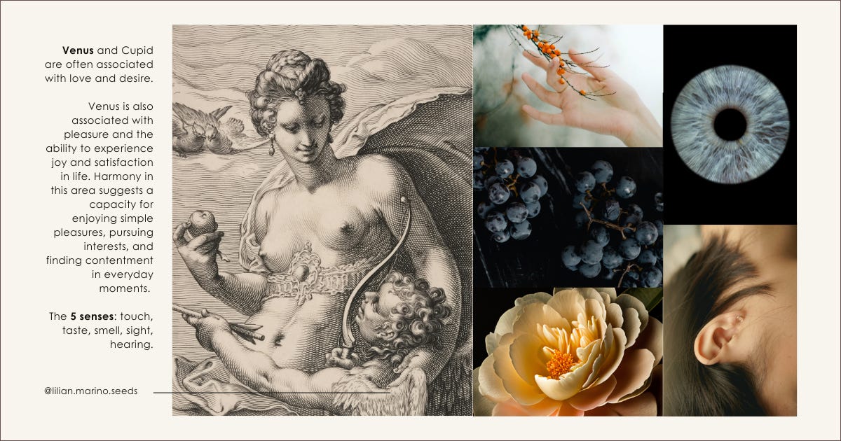 On the left, an engraving depicting Venus and Cupid. Venus, shown naked half-length, with braided hair, holds a flaming heart and gently wraps her arm around Cupid, who extends an arrow. The composition features doves with outstretched wings above. On the right, five images representing the five senses (clockwise, from the top left): a pale-skinned hand touching a tree’s sprouts, a blue iris over a black background, a close-up photo of an upside-down head showing an ear, a close-up photo of a rose flower in peach colour, grapes against a dark background. On the far left, the text reads, “Venus and Cupid are often associated with love and desire. Venus is also associated with pleasure and the ability to experience joy and satisfaction in life. Harmony in this area suggests a capacity for enjoying simple pleasures, pursuing interests, and finding contentment in everyday moments. The 5 senses: touch, taste, smell, sight, hearing.” At the bottom, the text “@lilian.marino.seeds”.