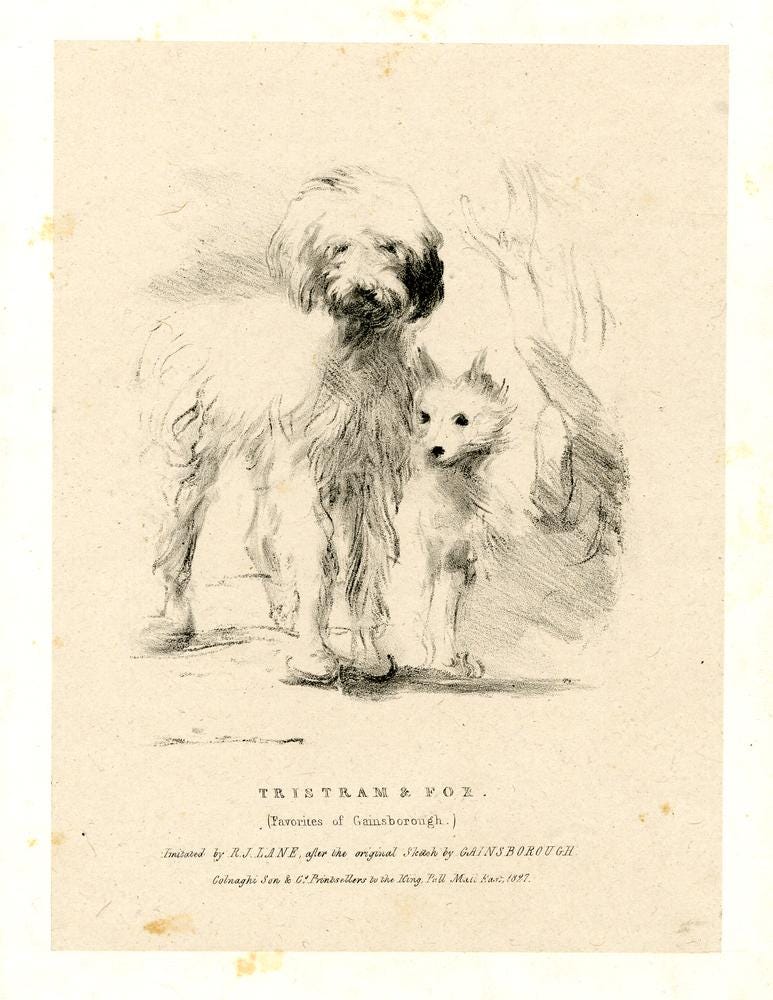 Two of the painter own dogs side by side