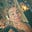 Lynne  Minelli 🌹's avatar