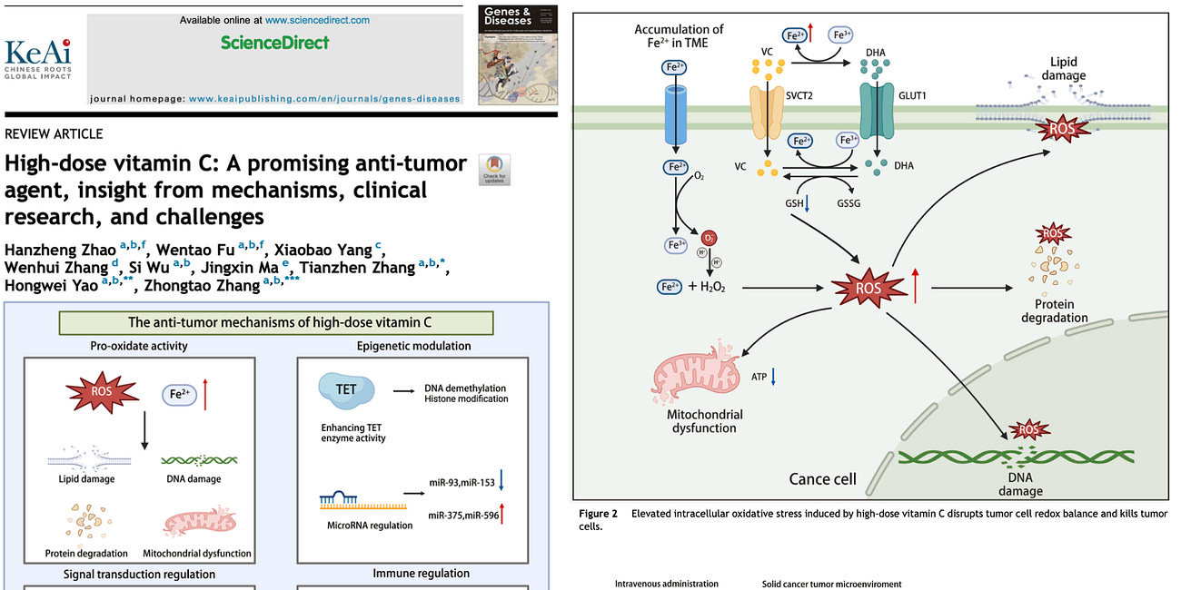 NEW STUDY: High-Dose Vitamin C Is a Promising Anti-Cancer Agent