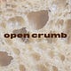 Open Crumb