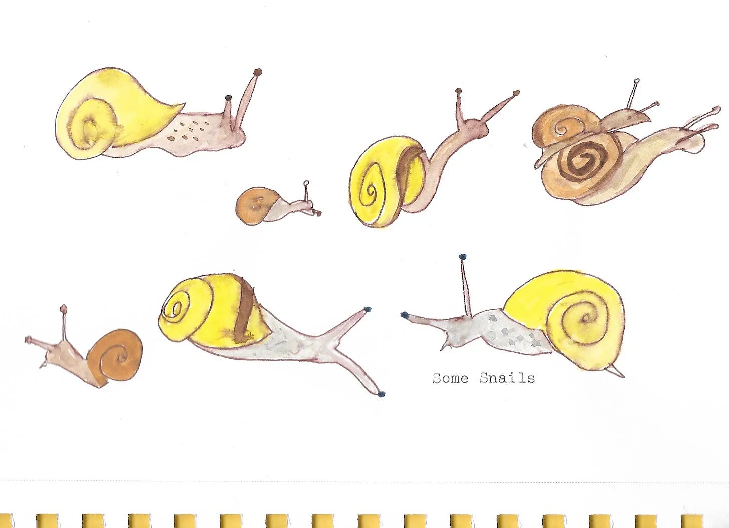 Watercolor illustration of snails with yellow and brown spiral shells, labeled “Some Snails.”