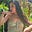 Muna's avatar