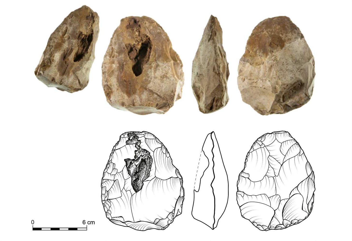 Multiple angles and drawings of a handaxe with an open cavity centered on one face of the artifact
