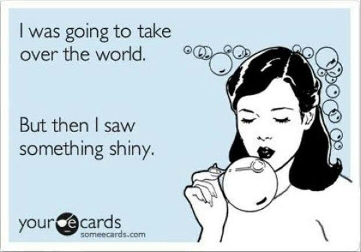 16 EASILY DISTRACTED BY SHINY OBJECTS... ideas | shiny ...