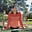 Lella Blumer's avatar