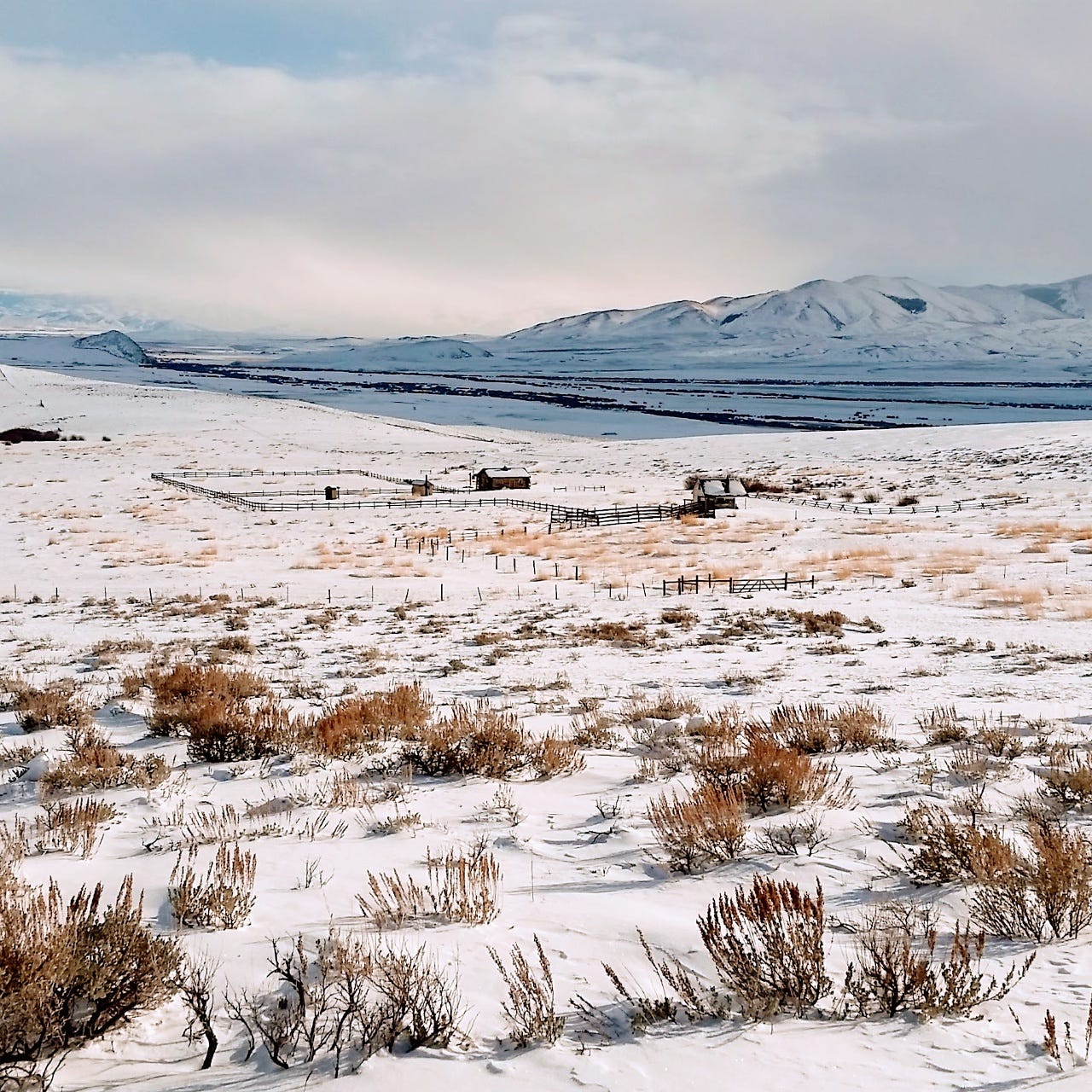 First Day Of 2017 @ Horse Prairie Station First Day Of 2017 @ Horse Prairie Station