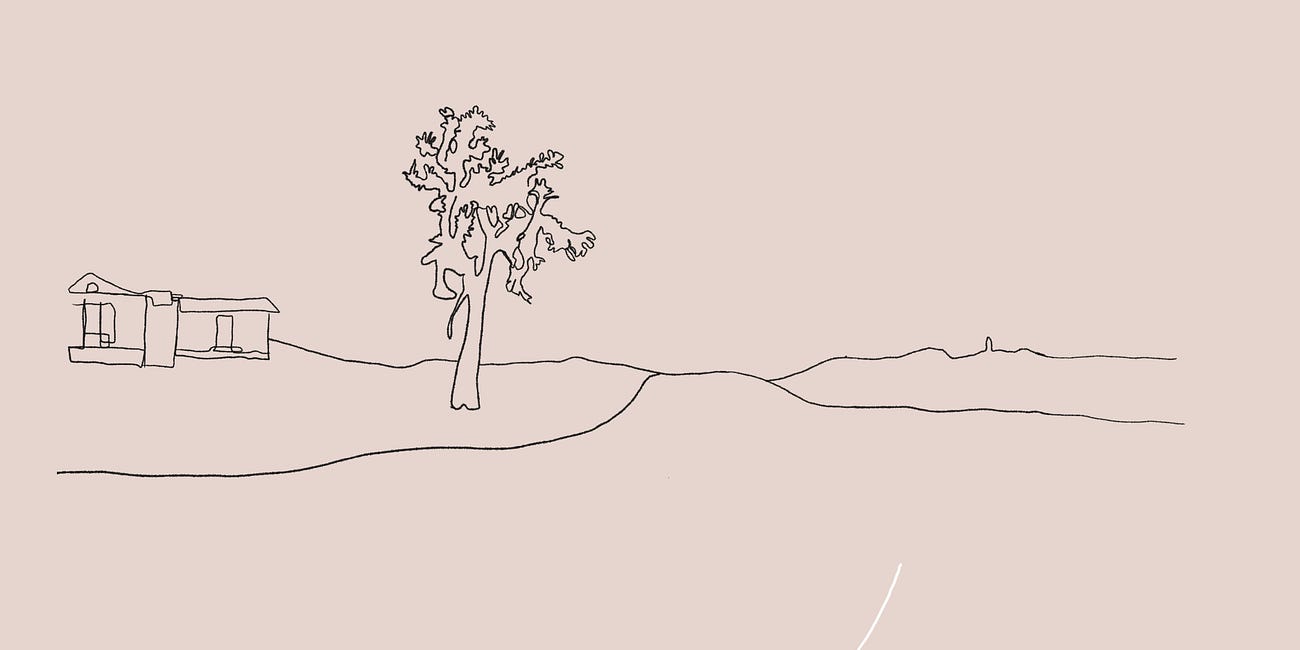 From the Dust | The Scent of Books