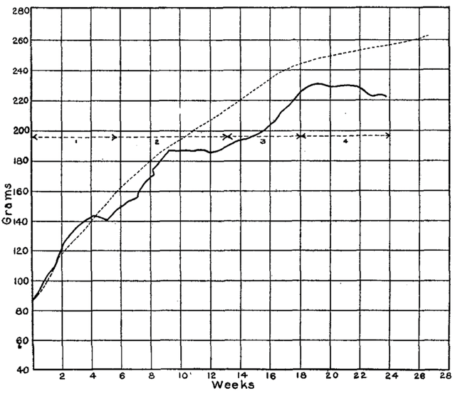 A graph with lines and arrows
AI-generated content may be incorrect. A graph with lines and arrows
AI-generated content may be incorrect.